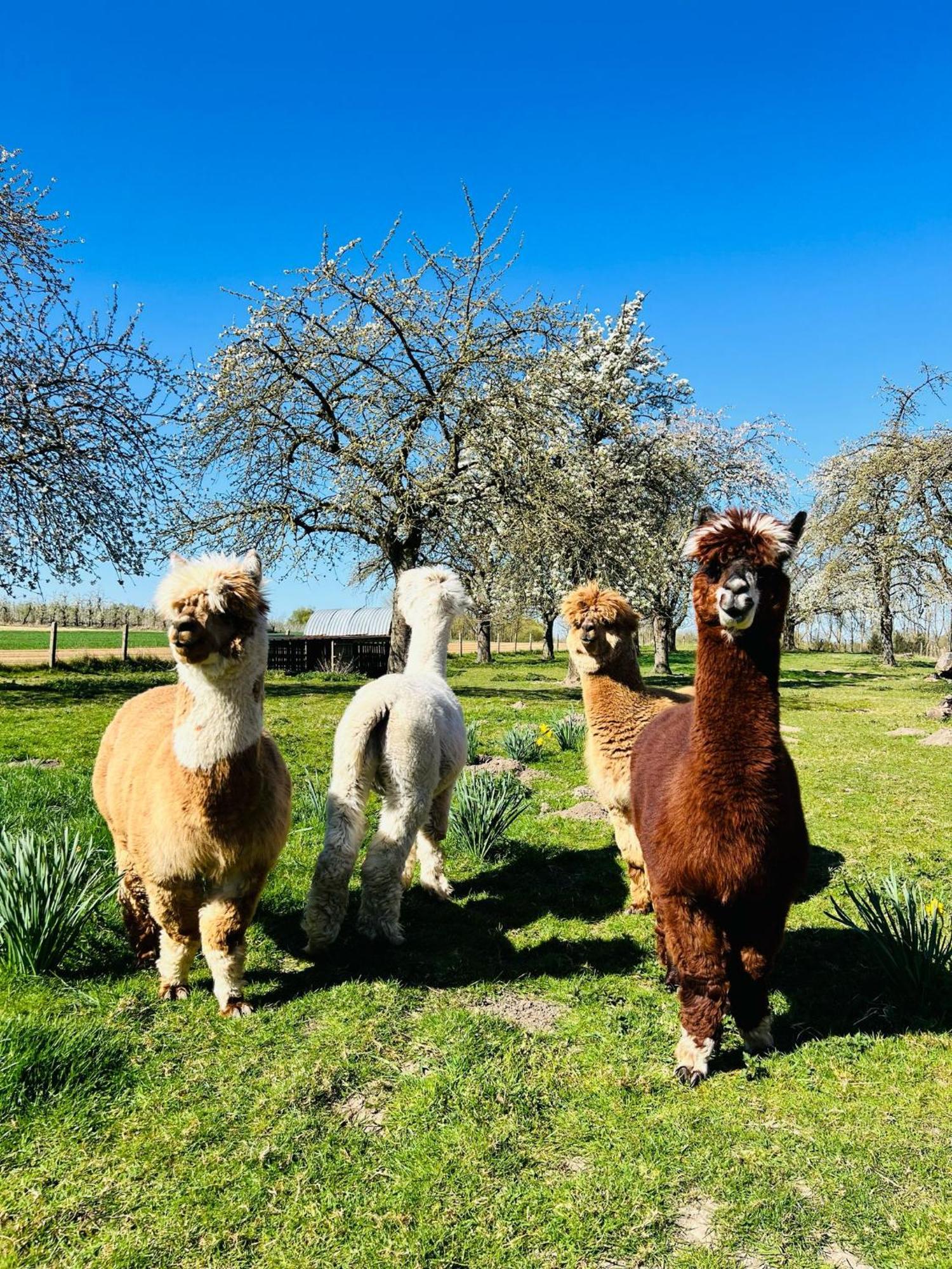 De Smishoeve Heers Buitenkant foto